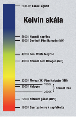 Kelvin Skála