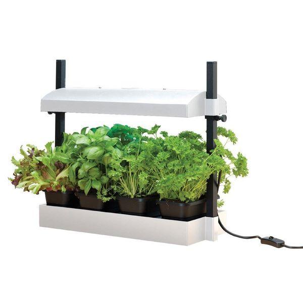 Urban Garden Fehér Konyhakert