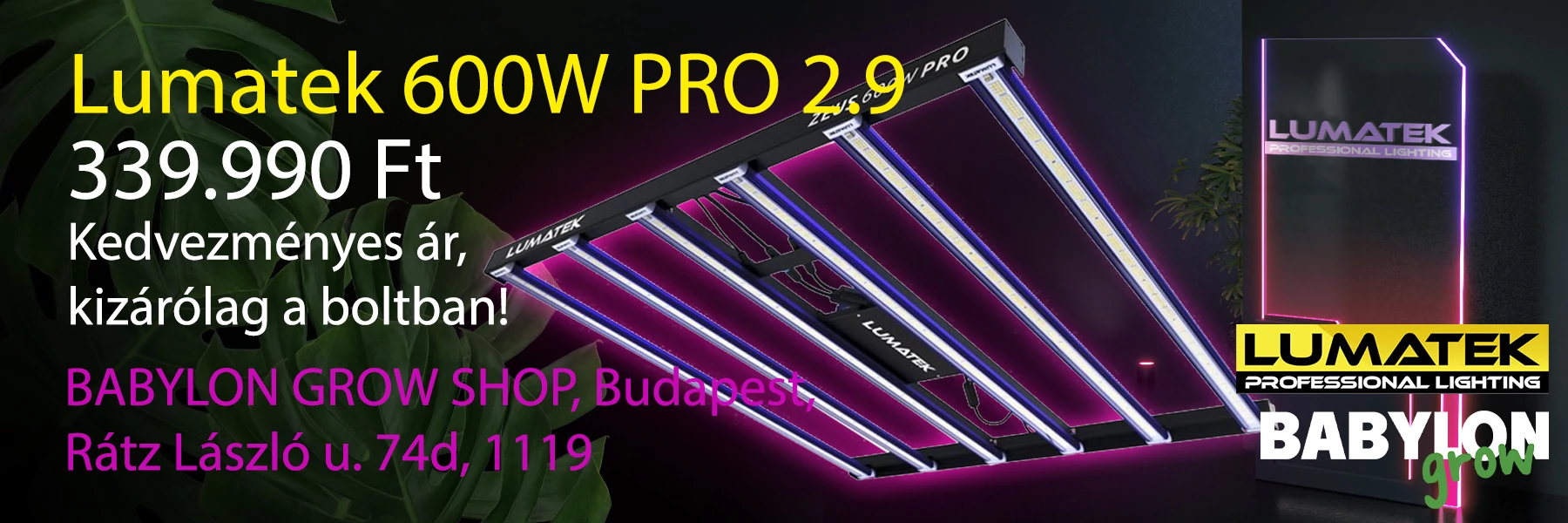 ZEUS LED