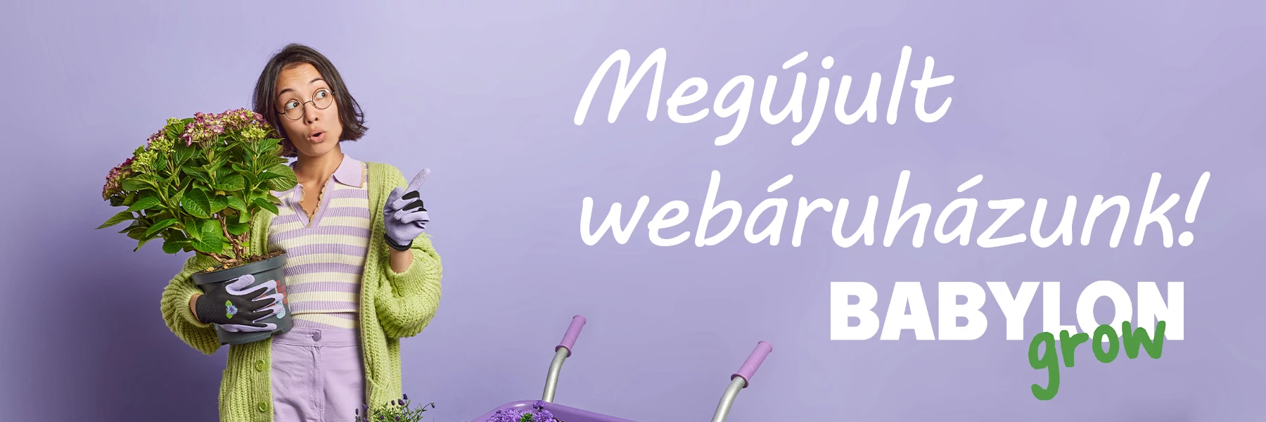 megujult webshop