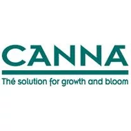 Canna