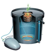 DWC (Deep Water Culture)