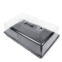 Vékony műanyag Propagátor 57x37x21 cm