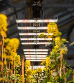 Miért érdemes LED lámpára váltani? A jövő világítása a LED