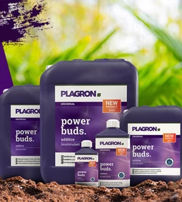 Több rügyet szeretnél? Plagron Power Buds!