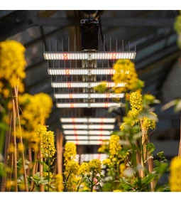 Miért érdemes LED lámpára váltani? A jövő világítása a LED