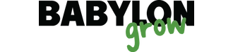 Babylon Webshop