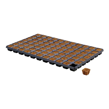 Eazy Plug CT77