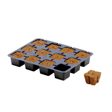 Eazy Plug Gyökereztető Kocka