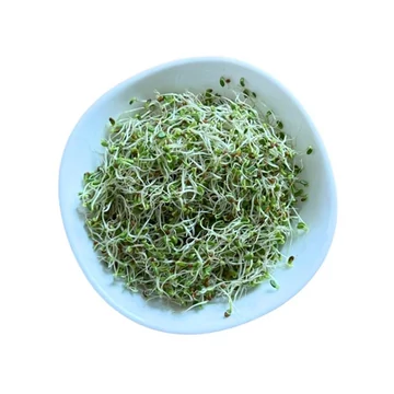 Mikrozöld bíborhere mag 200 g