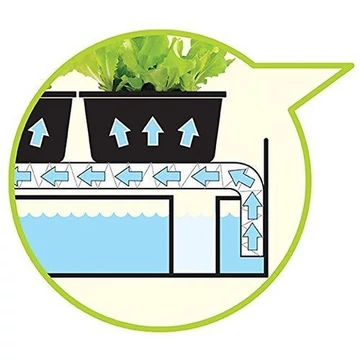 Urban Garden Konyhakert