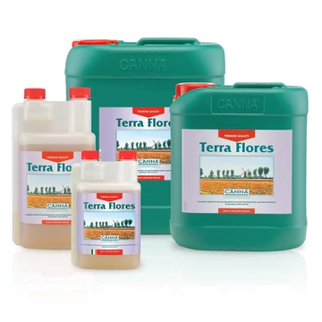 Canna Terra Flores