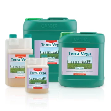 Canna Terra Vega