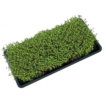 Garland microgreens tálca (lyukakkal / lyukak nélkül)