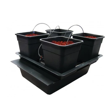 Wilma csepegtető termőrendszer