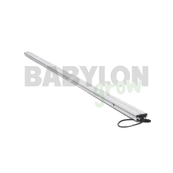 SANlight FLEX II LED 25