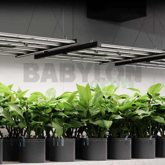 AC Infinity Ionframe EVO3 Samsung LM301H Growing LED 60x120 cm 280W