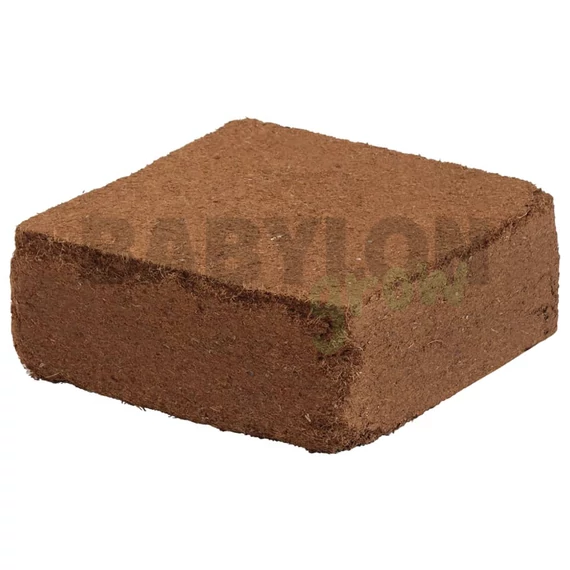 Kókusztégla mosott 5 kg