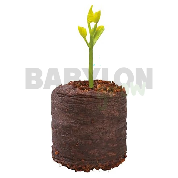 Garland préselt kókuszrost korong 20 db