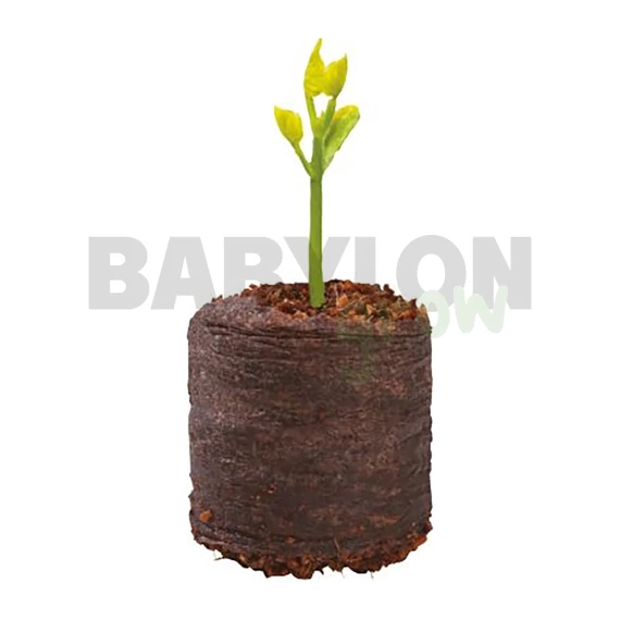 Garland kókuszrost préselt korong 50 db