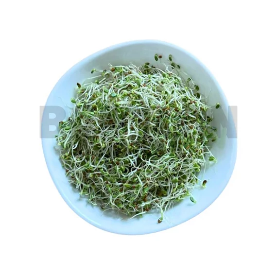 Mikrozöld bíborhere mag 200 g