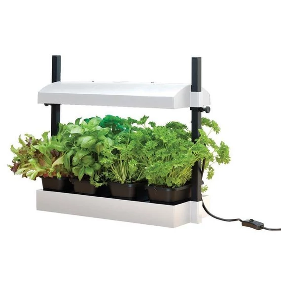 Urban Garden Fehér Konyhakert kicsi