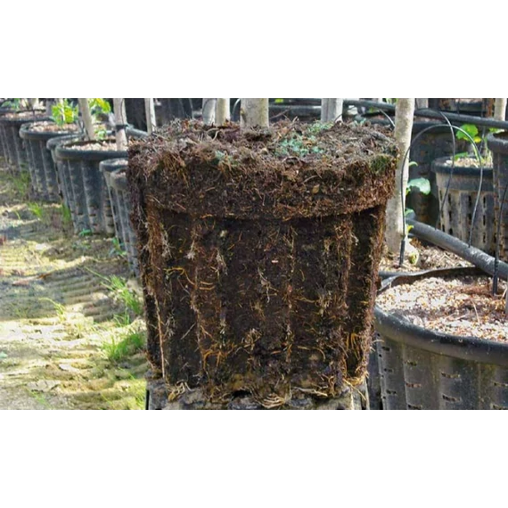 Lyukacsos kerek virágcserép 28,5x24 cm 9,5 L