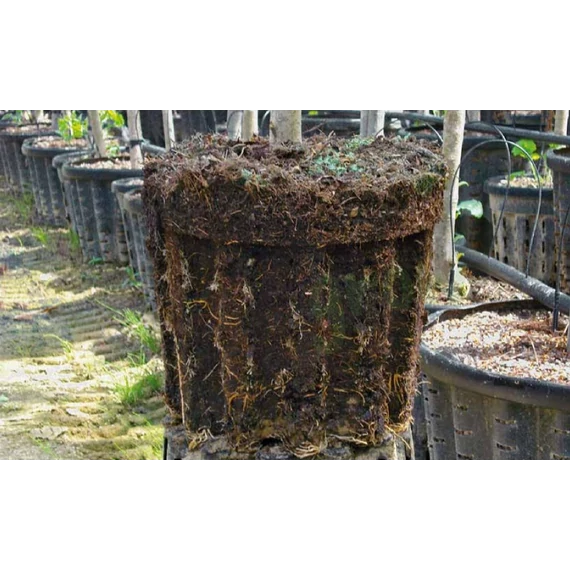 Lyukacsos kerek virágcserép 33x29 cm 20 liter