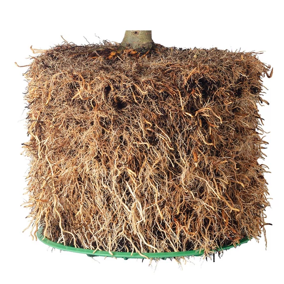 Air-pot cserép (3/5/9 liter) 9 liter