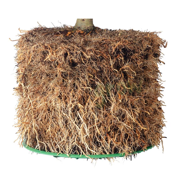 Air-pot cserép 9 liter