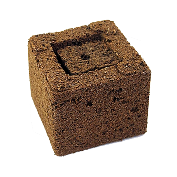 Eazy Plug CT77