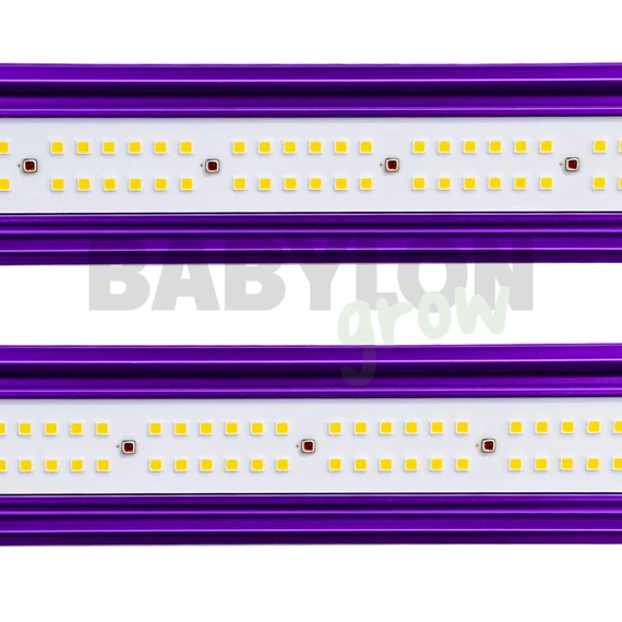 Lumatek ZEUS PRO EVO LED 1000W 3.1