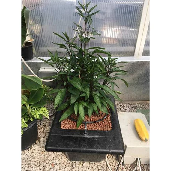 Nutriculture Flo-Gro Csepegtető Rendszer