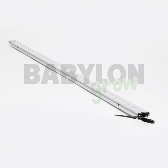 SANlight FLEX II LED 25