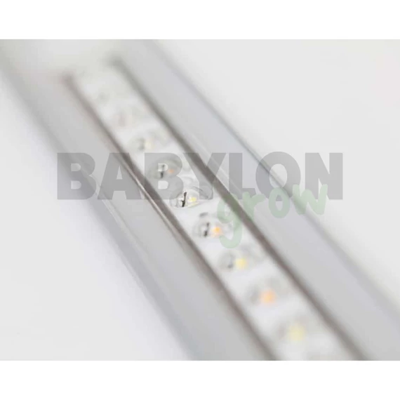 SANlight FLEX II LED 25