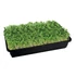 Garland Seed Large juta lap magvető tálcához 53x24,5 cm (3 db)