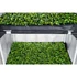 Garden Highpro Propagator Grow Box L