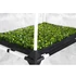 Garden Highpro Propagator Grow Box L