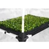 Garden Highpro Propagator Grow Box L